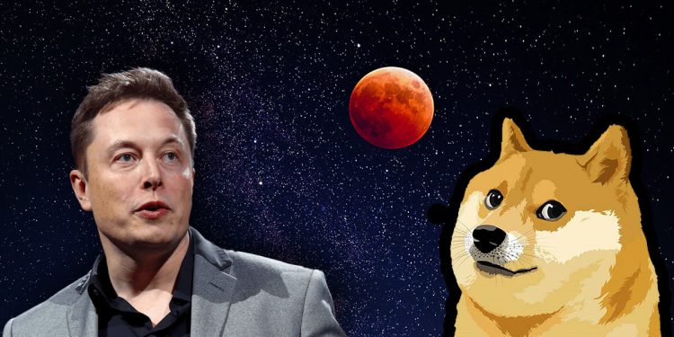 Elon Musk meme image